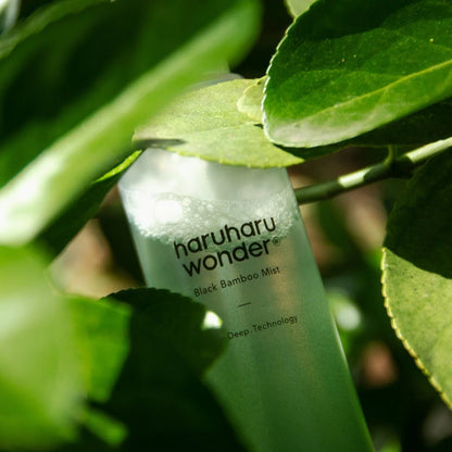 Haruharu wonder Black Bamboo Mist veido dulksna | haru.lt