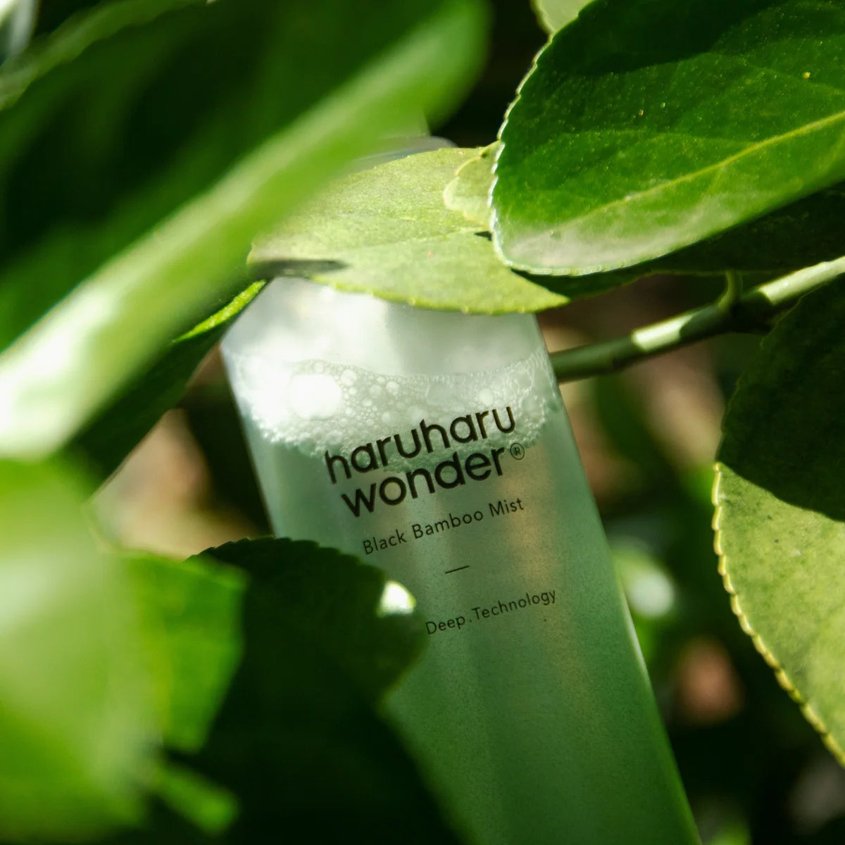 Haruharu wonder Black Bamboo Mist veido dulksna